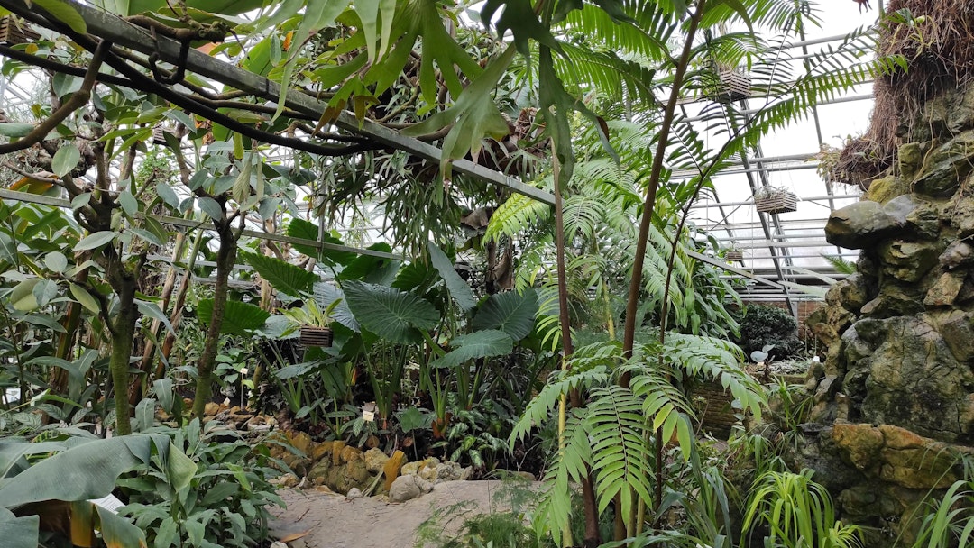 Leuven Botanic Garden