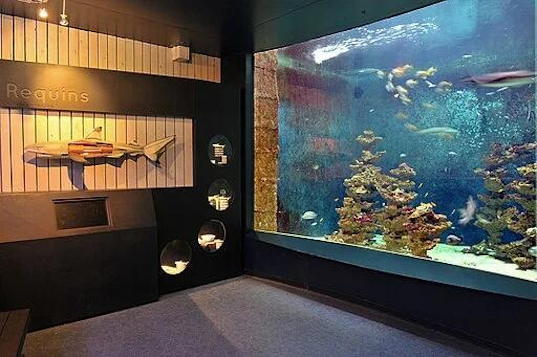 Liege Aquarium-Museum